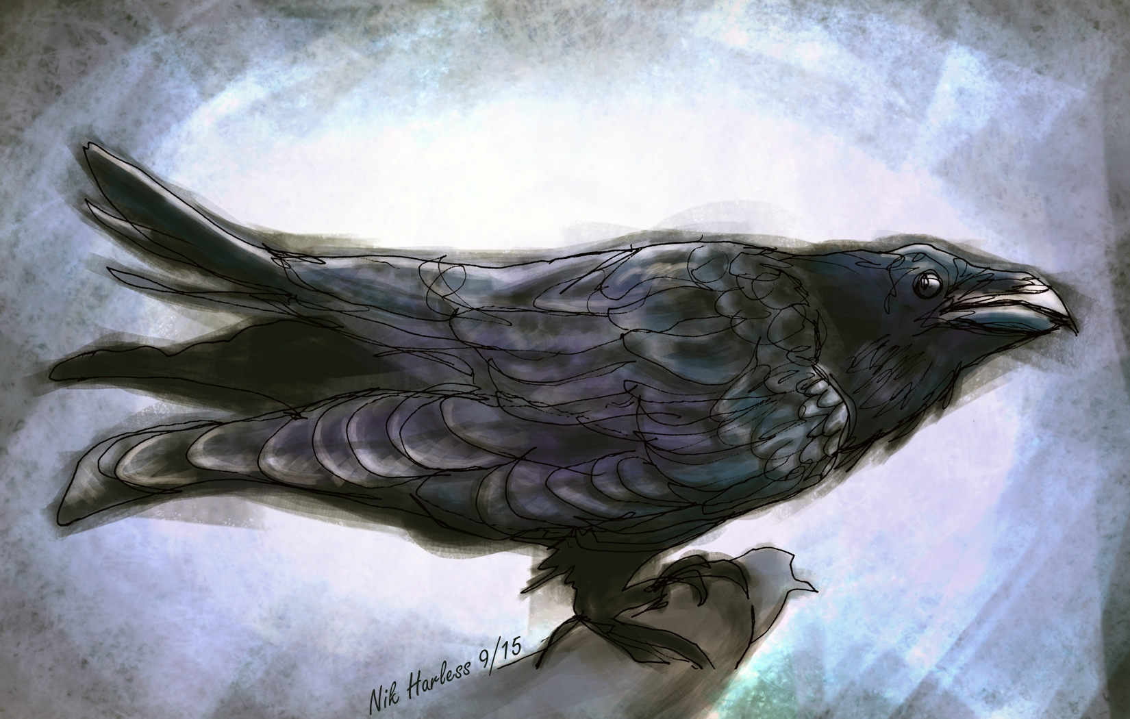 Raven