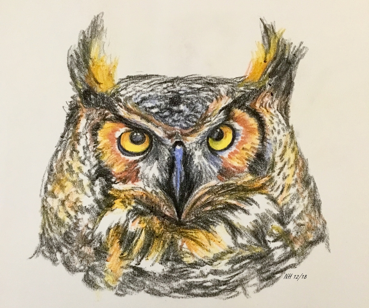 Owl