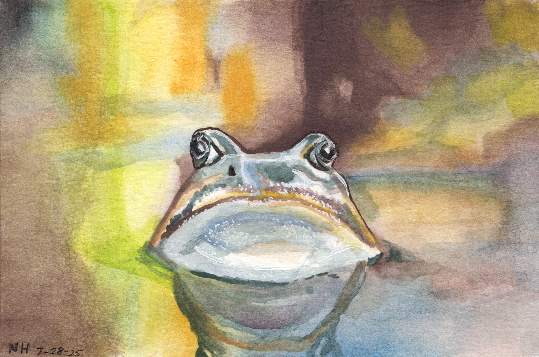 Watercolor Frog Postcard
